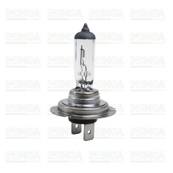 LAMPADA H7 HALOGENA: FAROL ALTO, BAIXO, NEBLINA - Image 2