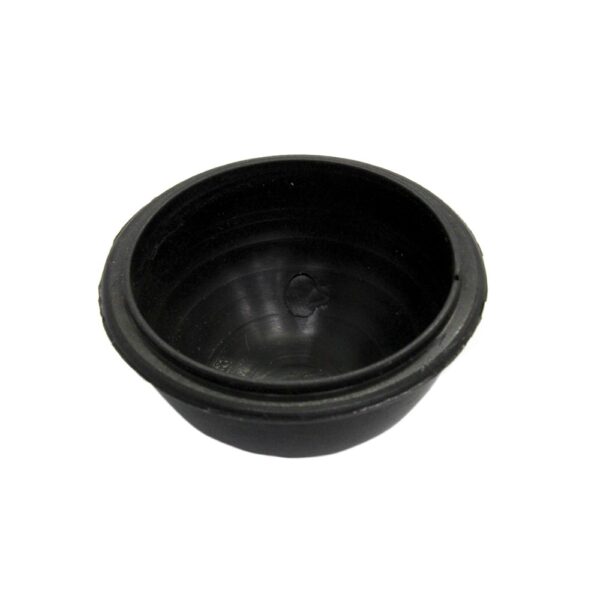 CALOTA FRONTAL - Imagem 2