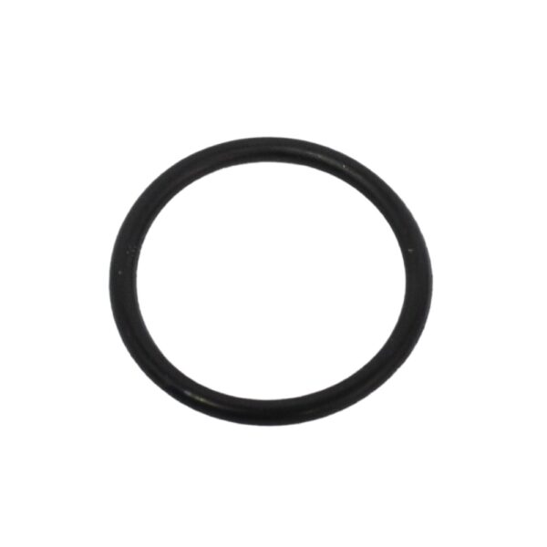 ANEL ORING