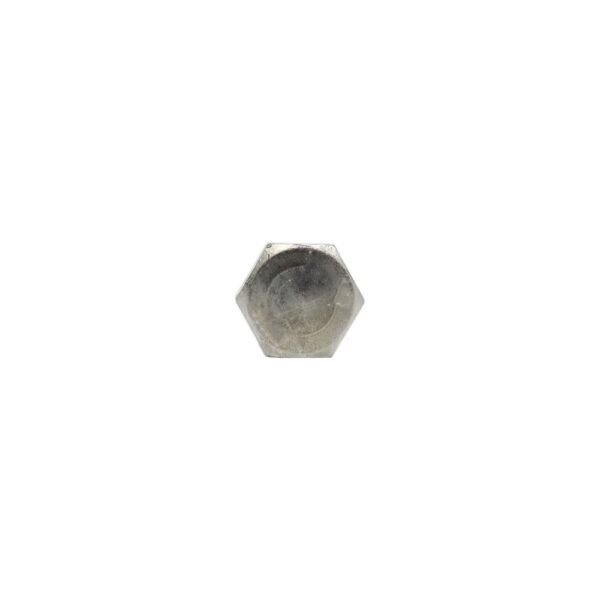 PARAFUSO SEXT  M16X100  RT GEO INOX - Imagem 3