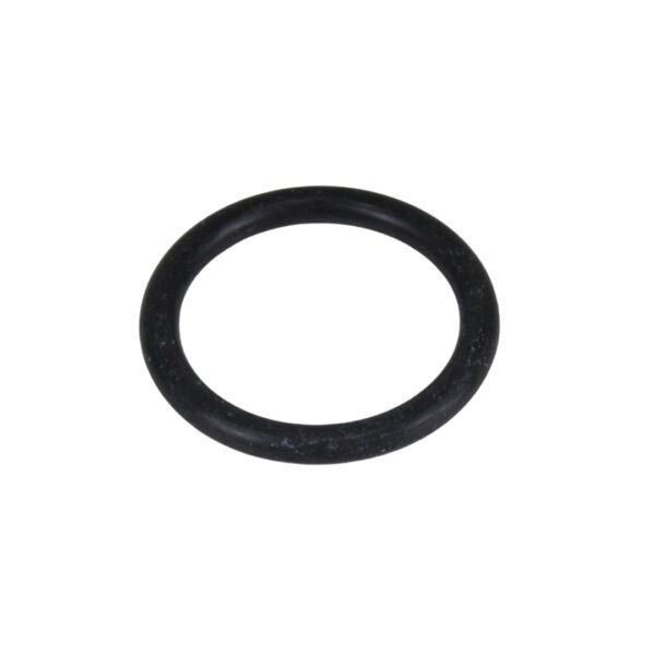 ANEL ORING