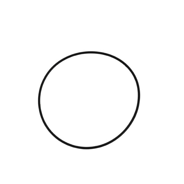 ANEL O-RING - Imagem 2