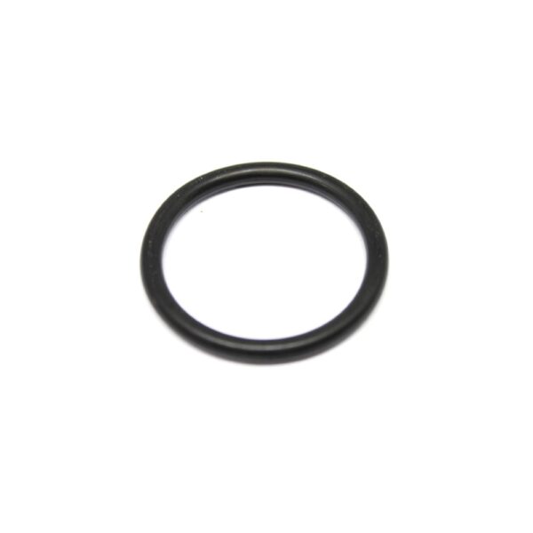 ANEL ORING PULVERIZADOR