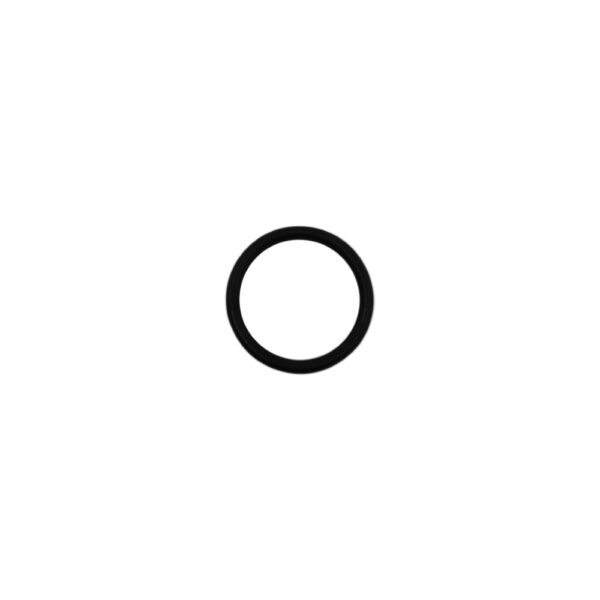 ANEL ORING PULVERIZADOR - Imagem 2