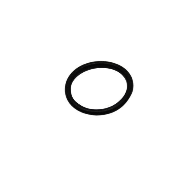 ANEL ORING PULVERIZADOR - Imagem 3