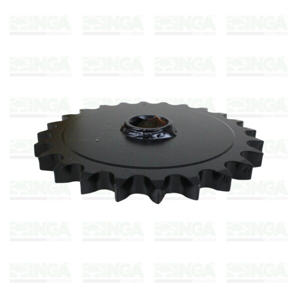 RODA DENTADA Z24 ASA 80 - Imagem 2